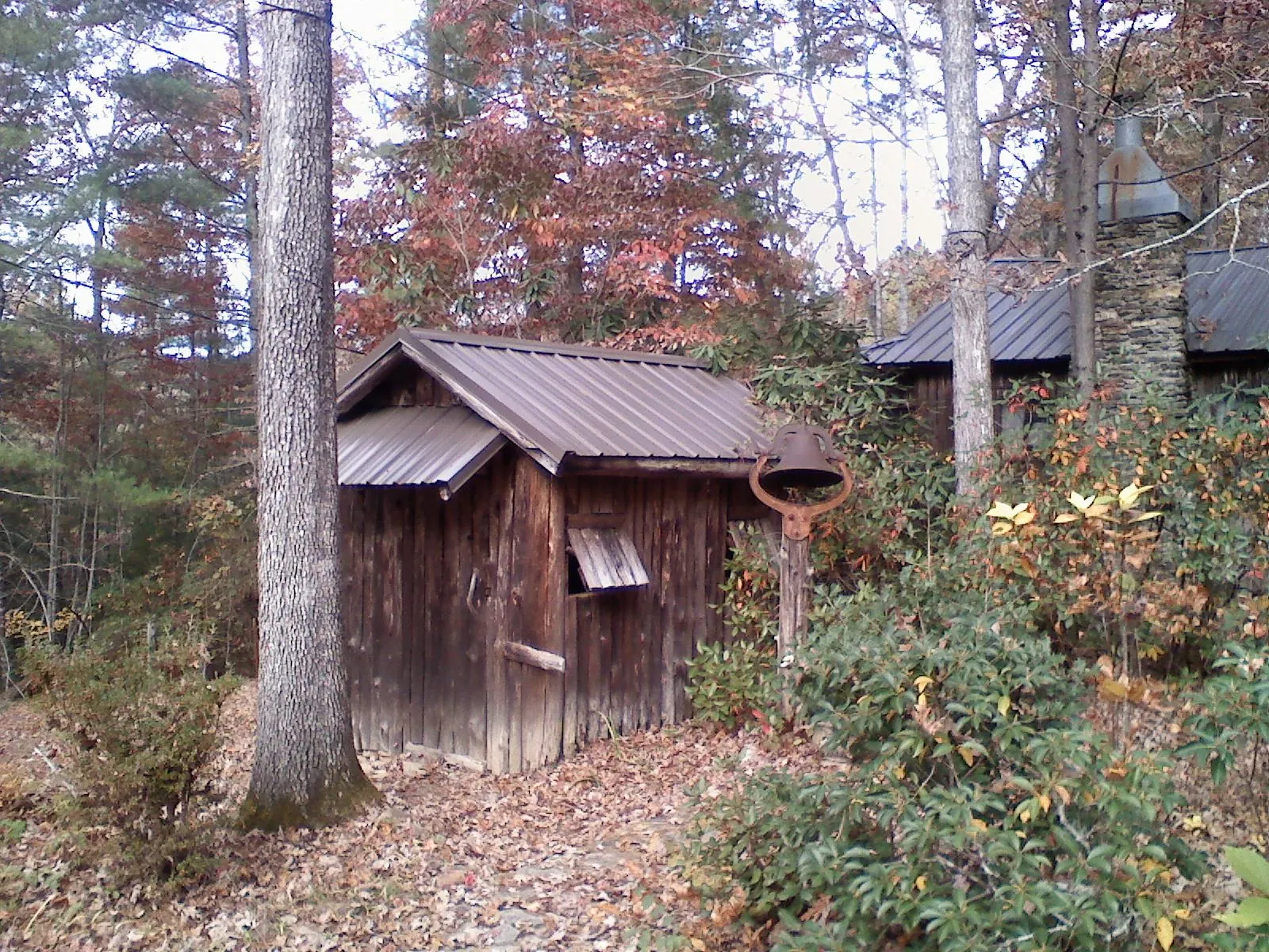 Small metal roof on a rough sawn shed in the woods in Newville